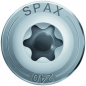 Preview: SPAX HI.FORCE 6x160 (100 pc.)
