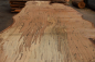 Preview: beech plank (BUTR-7-12)