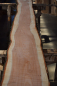 Preview: american black Cherry plank (K-BC-2-2)