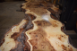 Preview: Burl popular (populus spp.) MPA-1-14