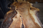 Preview: Burl popular (populus spp.) MPA-1-14