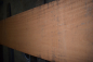 Preview: Mahogany (MAG-E29 Meliaceae)