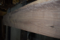 Preview: american Nuttree plank (NB-AM-E-H35) plant