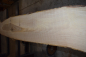 Preview: european Nuttree plank (NB-W-13-1)