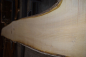 Preview: european Nuttree plank (NB-W-13-1)