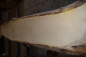 Preview: european Nuttree plank (NB-W-13-1)