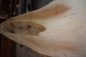 Preview: european Nuttree plank (NB-W-13-3)