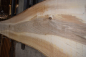 Preview: european Nuttree plank (NB-W-13-5)