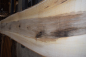 Preview: european Nuttree plank (NB-W-13-5)