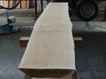 Marple Plank (Ba 5-1) not trimmed