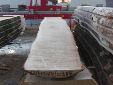Marple Plank (BA-7-7) not trimmed