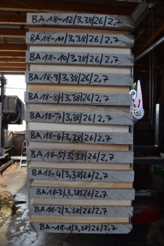 Bergahorn Bohle (BA18-9) besäumt