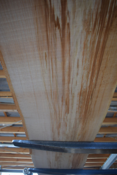 beech plank (BU-11-12)