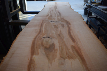 beech plank (BU-11-2)