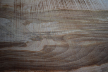 beech plank (BU-11-3)