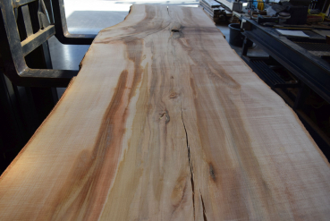 beech plank (BU-11-7)