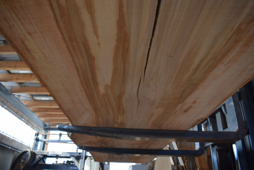 beech plank (BU-11-8)