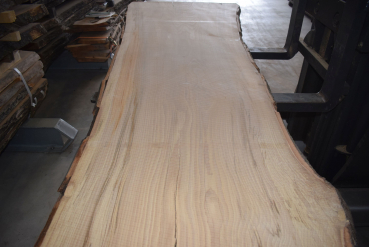 beech plank (BU-12-4)