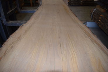 beech plank (BU-12-6)