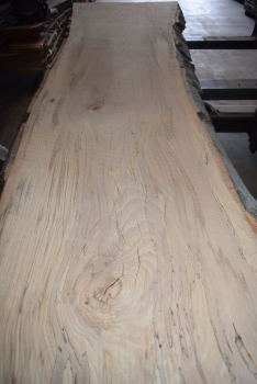 beech plank (BU-12-7)