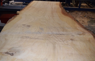 Oak board (E13-8)