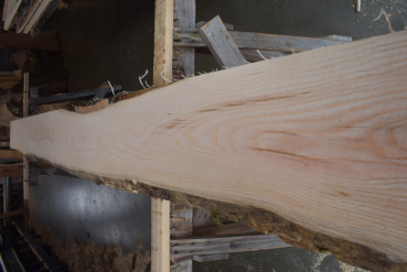 Esche Bohle ES-E-28