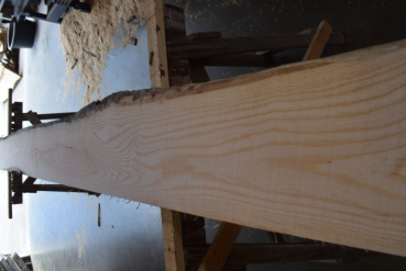Esche Bohle ES-E-28