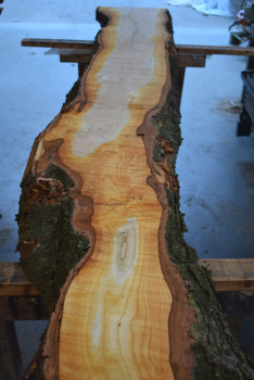 american black Cherry plank (K-BC-1-5)