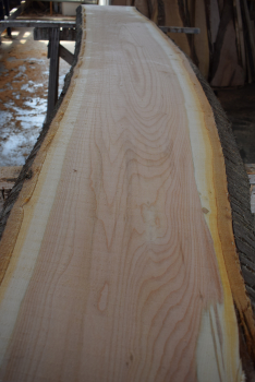 Cherry plank (K20-1)