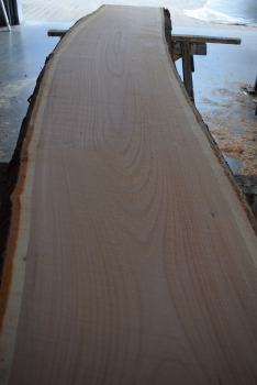 Cherry plank (K20-1)