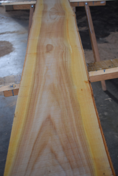 Cherry plank (K6-9)