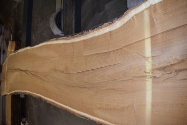 Maulbeerbaum Bohle MBB-1-4 (Morus rubra)