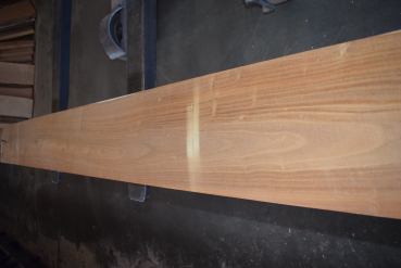 Maulbeerbaum Bohle MBB-2-1 (Morus rubra)