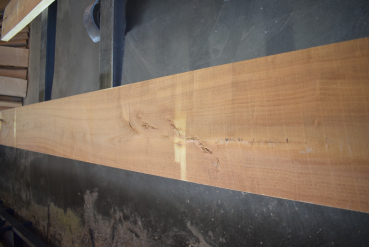 Maulbeerbaum Bohle MBB-2-2 (Morus rubra)