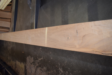 Maulbeerbaum Bohle MBB-2-5 (Morus rubra)