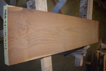 Maulbeerbaum Bohle MBB-4-2 (Morus rubra)