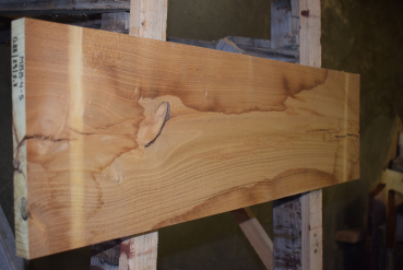 Maulbeerbaum Bohle MBB-4-5 (Morus rubra)