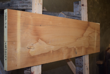 Maulbeerbaum Bohle MBB-4-6 (Morus rubra)