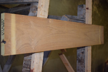 Maulbeerbaum Bohle MBB-4-9 (Morus rubra)