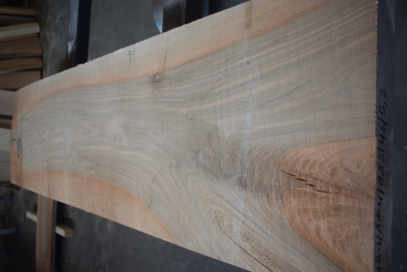 european Nuttree plank (NB-W-11-4)