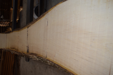 european Nuttree plank (NB-W-13-7)