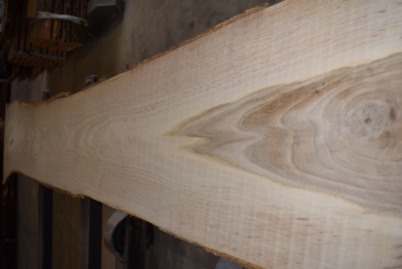 european Nuttree plank (NB-W-13-7)