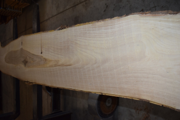 european Nuttree plank (NB-W-13-1)