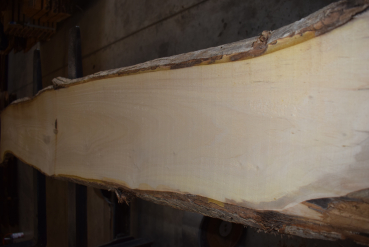 european Nuttree plank (NB-W-13-1)