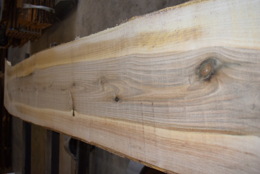 european Nuttree plank (NB-W-13-3)