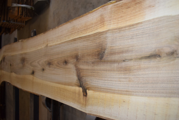 european Nuttree plank (NB-W-13-5)