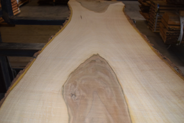 Nussbaum Bohle (NB-W-14-1)