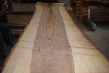 Nussbaum Bohle (NB-W-14-5)