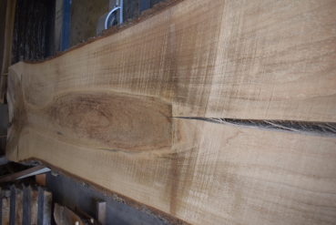 Nussbaum Bohle (NB-W-14-7)
