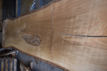 Nussbaum Bohle (NB-W-14-8)